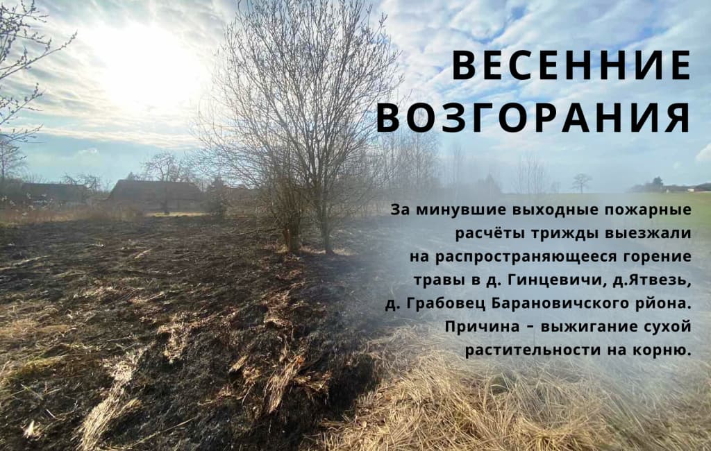 Весенние возгорания в Барановичах МЧС